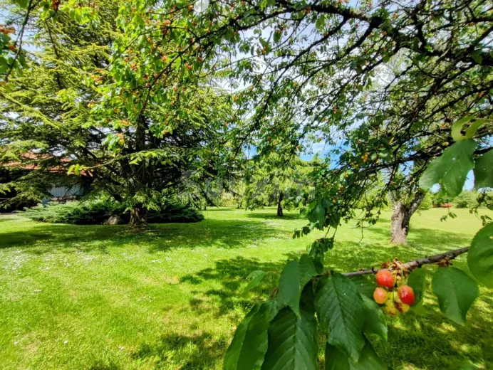Maison à vendre à Beaune - PROPRIETE AVEC PARC - Smart Propylaia (3)