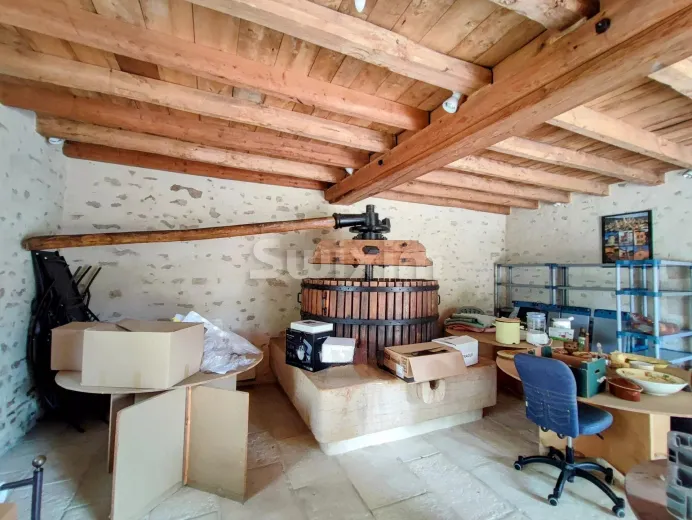Maison à vendre à Beaune - PROPRIETE AVEC PARC - Smart Propylaia (9)