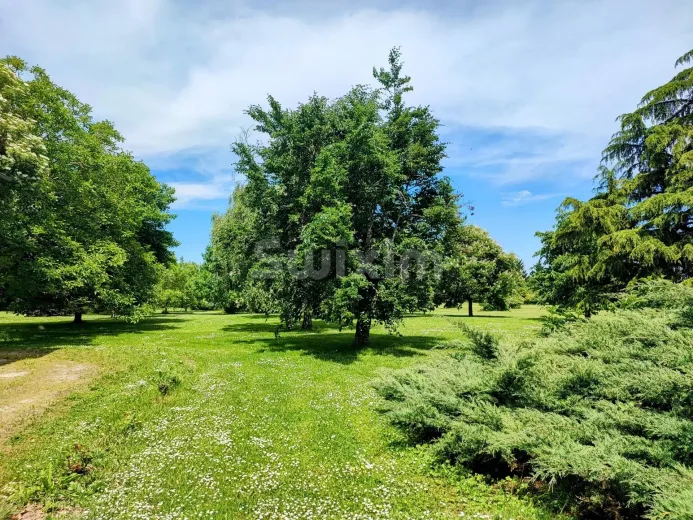 Maison à vendre à Beaune - Smart Propylaia (16)