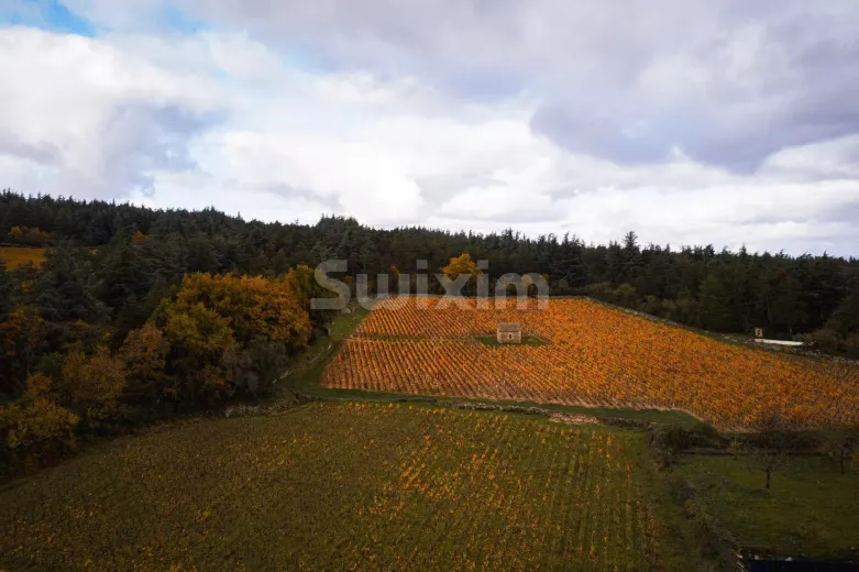 Maison à vendre à Beaune - Villa de charme à vendre à Givry - Smart Propylaia (12)