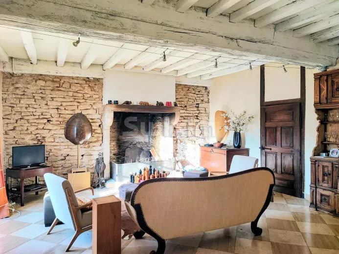 Maison à vendre à Beaune - Maison de village en pierre avec gîte. - Smart Propylaia (6)
