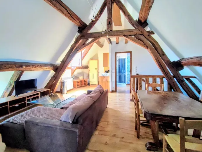 Maison à vendre à Pouilly-en-Auxois - ENSEMBLE IMMOBILIER  DE TOURISME - Smart Propylaia (12)