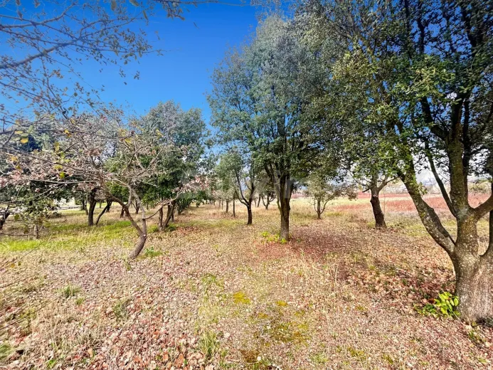 Casa in vendita a Valréas - Smart Propylaia (2)