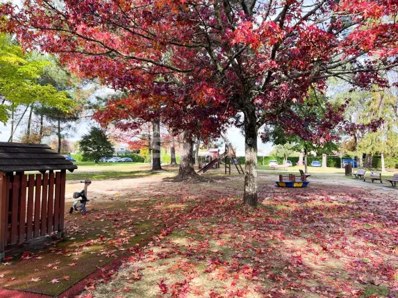Wohnung zu verkaufen in Pessac (9)