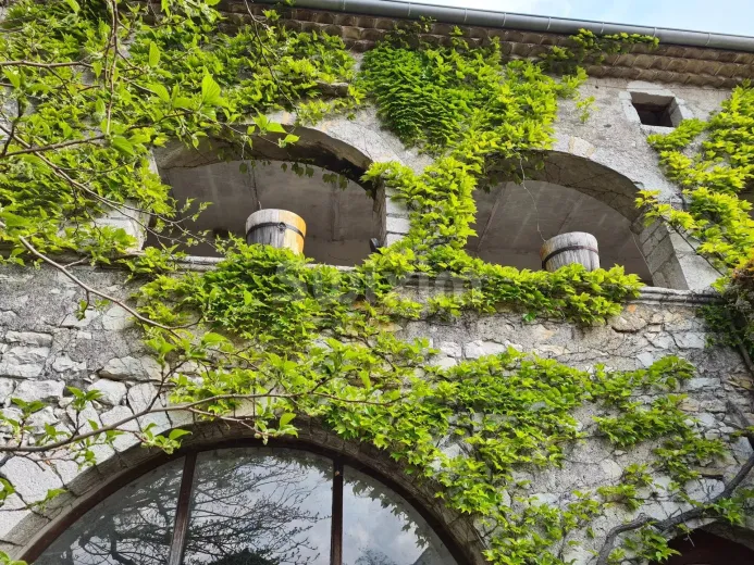 Casa in vendita a Lavilledieu - Smart Propylaia (2)