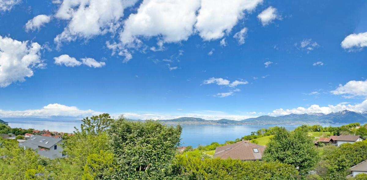 A vendre   Suisse - partenariat avec Smart-Propylaia Portail Immobilier