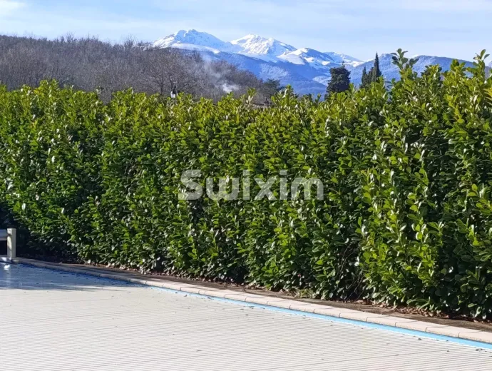 Haus zu verkaufen in Mirepoix - Smart Propylaia (35)