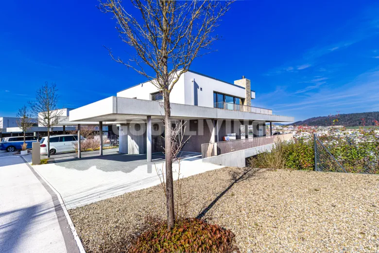 For sale Ohmstal Twin house Switzerland - cChic-immoHub your real estate portal