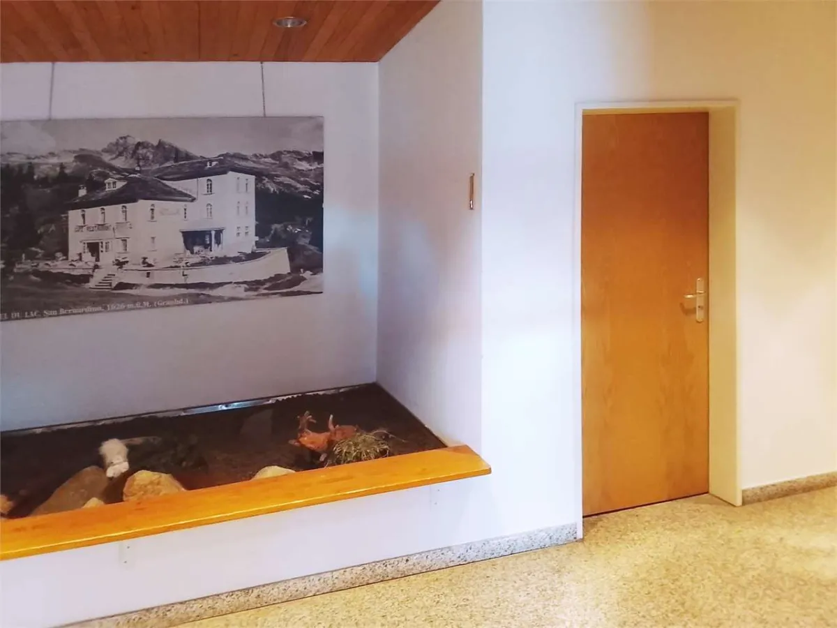 Mesocco zu verkaufen Wohnung Schweiz - cChic-immoHub Ihr Immobilienportal