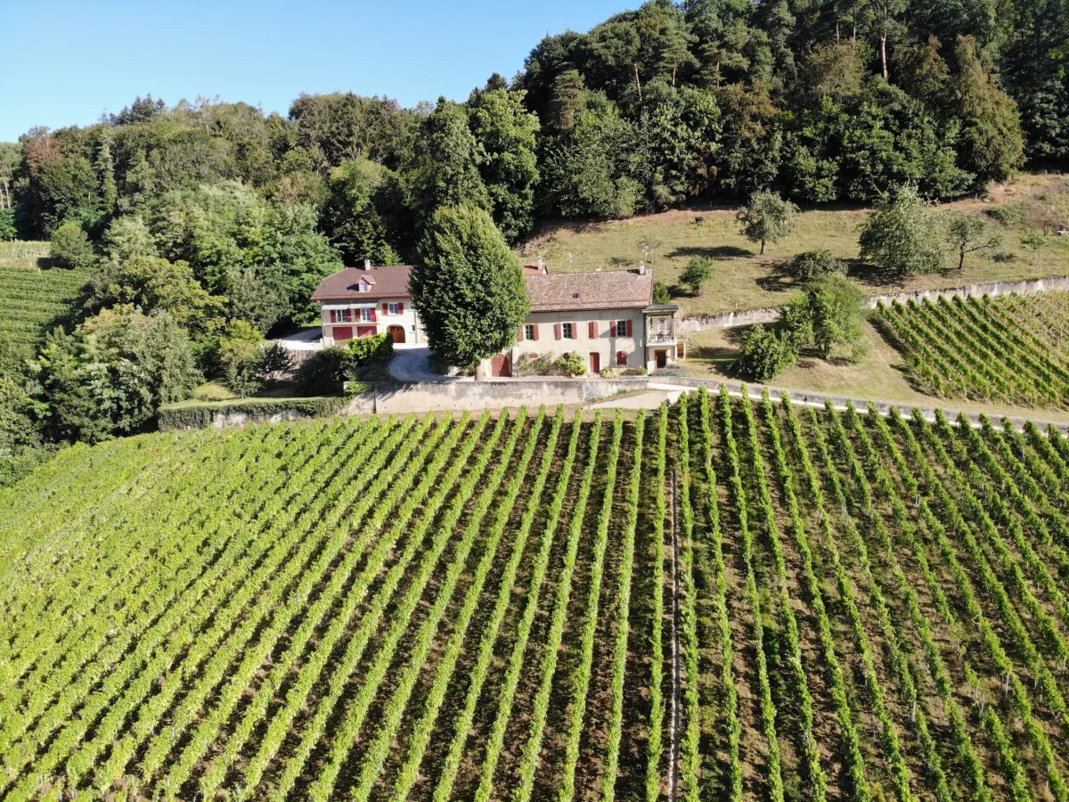 Luins for sale Farm Switzerland - cChic-immoHub your real estate portal
