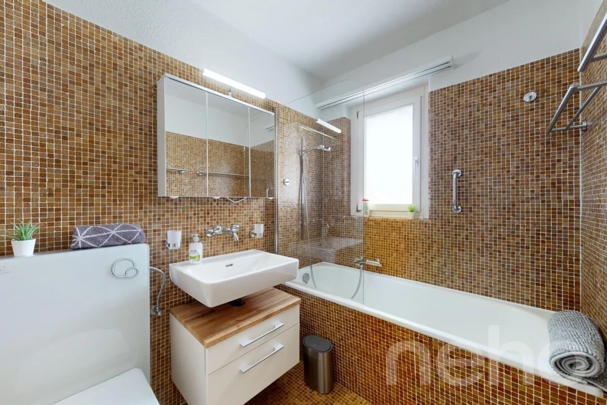 Disentis/Mustér for sale Multiple dwelling Switzerland - cChic-immoHub your real estate portal