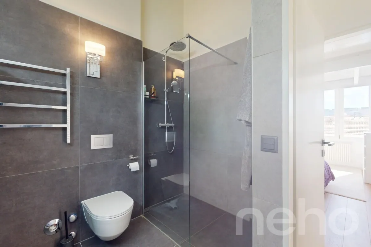 Plan-les-Ouates for sale Attic flat Switzerland - cChic-immoHub your real estate portal