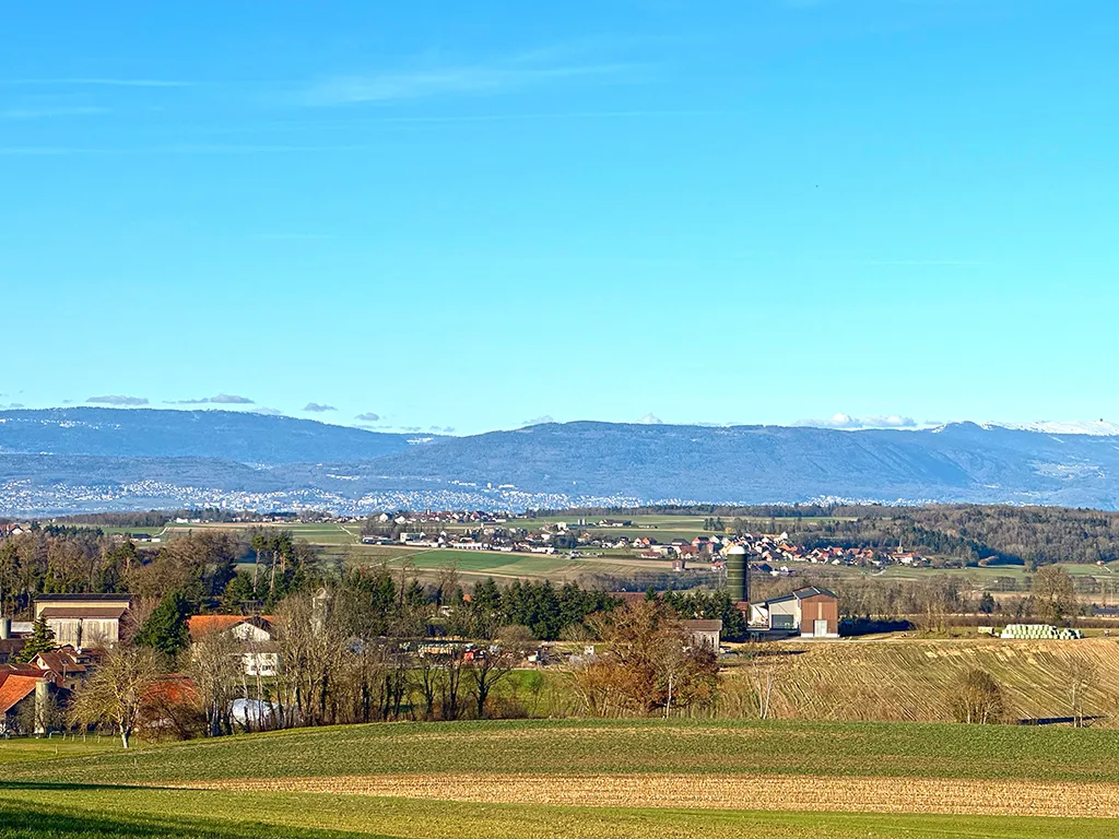 Cugy FR for sale Multiple dwelling Switzerland - cChic-immoHub your real estate portal