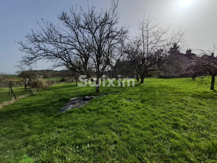 Casa in vendita a Montillot - Casa di campagna situata in 13 ettari di terreno - Smart Propylaia (57)