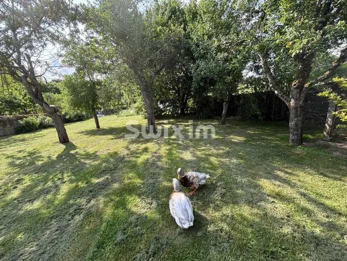 Casa in vendita a Cussy-les-Forges - Casa di charme con colombaia - a 2 h 30 da Parigi - alle porte del Morvan - Smart Propylaia (57)