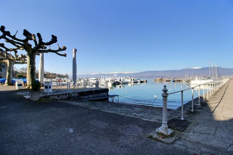 Zu verkaufen Hermance Einfamilienhaus Suisse - cChic-immoHub Ihr Immobilienportal