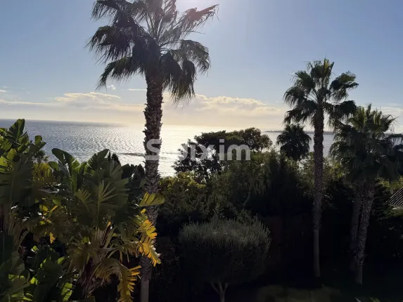 Maison à vendre à Cannes (26)