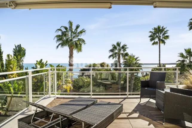 Maison à vendre à Cannes (30)