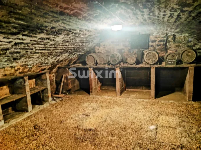 Casa plurifamiliare in vendita a Beaune - Casa unifamiliare in vendita a Beaune, 16 locali, 625 m2 - Smart Propylaia (84)