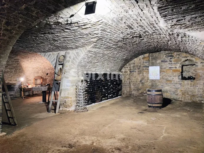 Haus zu verkaufen in Beaune - Anwesen zu verkaufen in Beaune, 12 Zimmer, 418 m2 - Smart Propylaia (60)