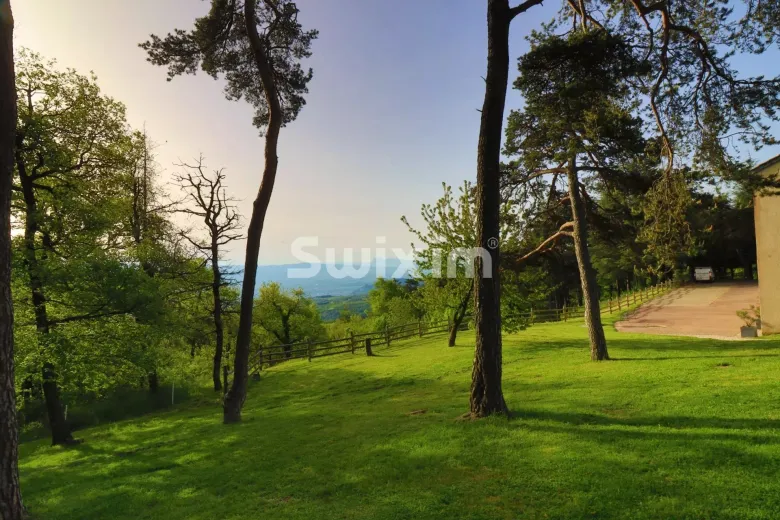 Haus zu verkaufen in Saint-Romain-de-Lerps - Smart Propylaia (40)