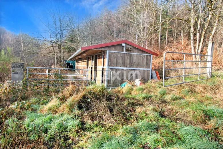 Maison à vendre à Raon-Aux-Bois (16)