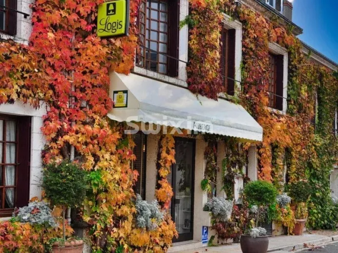 Commerce/industrie à vendre à Cheverny - Auberge  Hôtel-Restaurant *** au coeur des Châteaux de la Loire - Smart Propylaia (66)