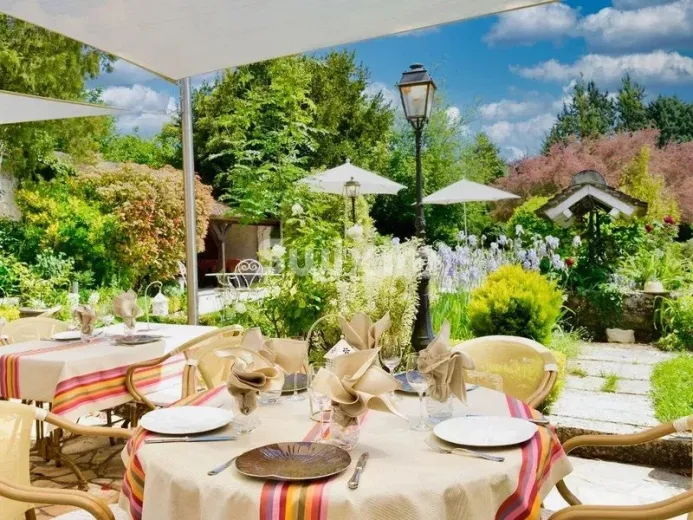 Commerce/industrie à vendre à Cheverny - Auberge  Hôtel-Restaurant *** au coeur des Châteaux de la Loire - Smart Propylaia (69)