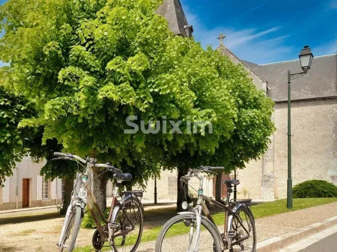 Commerce/industrie à vendre à Cheverny - Smart Propylaia (80)