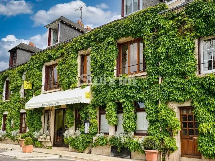 Commerce/industrie à vendre à Cheverny - Auberge  Hôtel-Restaurant *** au coeur des Châteaux de la Loire - Smart Propylaia (84)