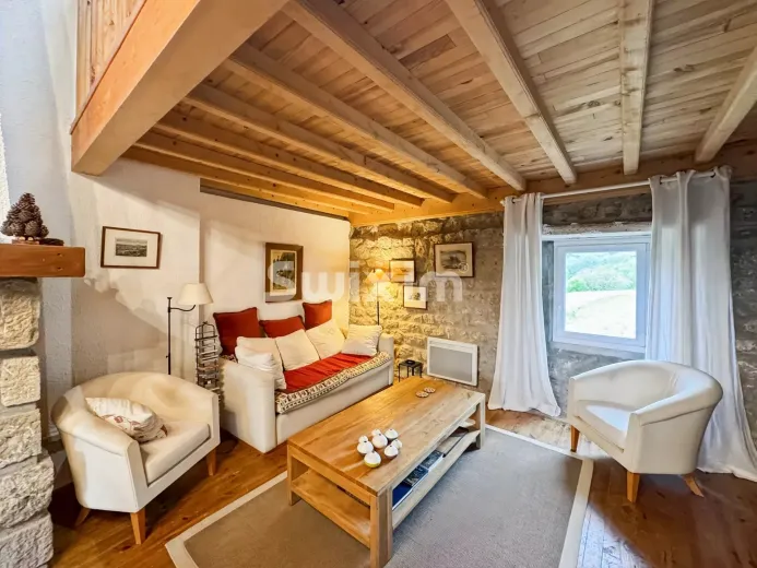 Haus zu verkaufen in Saint-Apollinaire-de-Rias - Smart Propylaia (55)