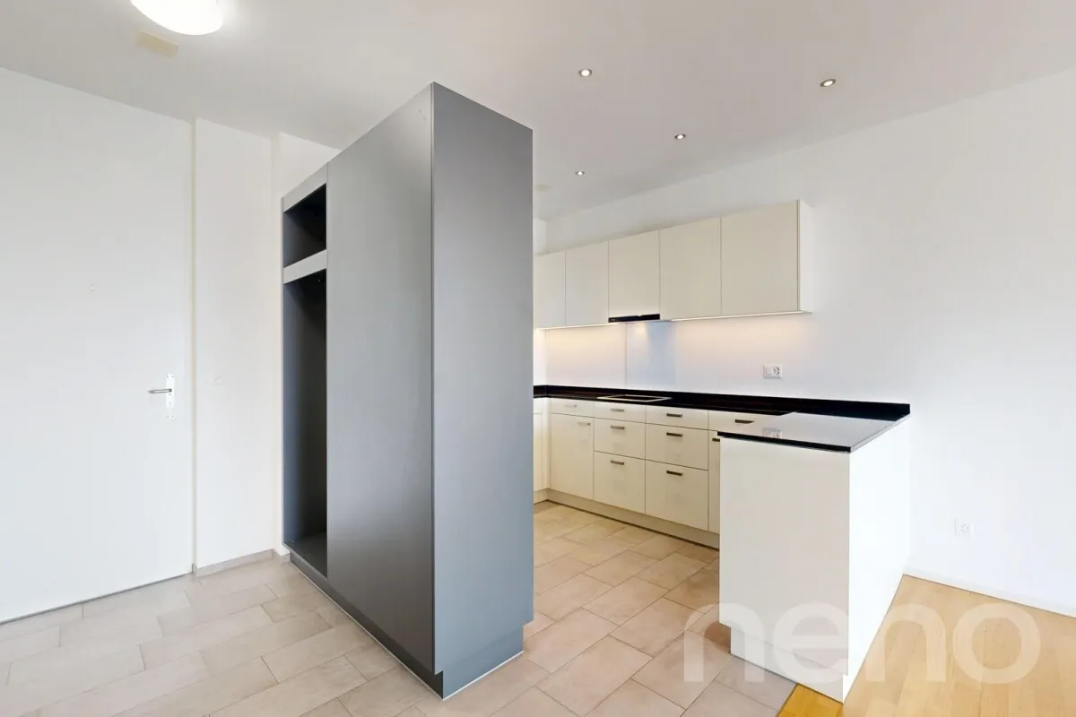 Merenschwand zu verkaufen Wohnung Schweiz - cChic-immoHub Ihr Immobilienportal