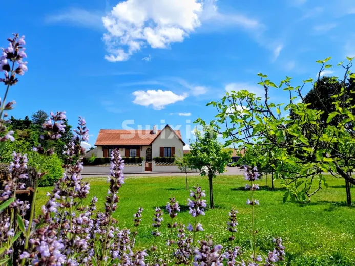 Casa in vendita a Seurre - Smart Propylaia (20)