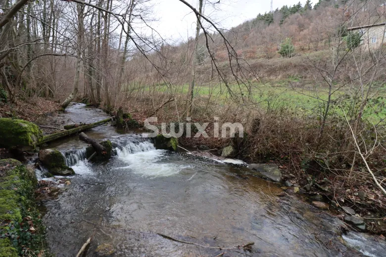 Haus zu verkaufen in Lamastre - Smart Propylaia (47)