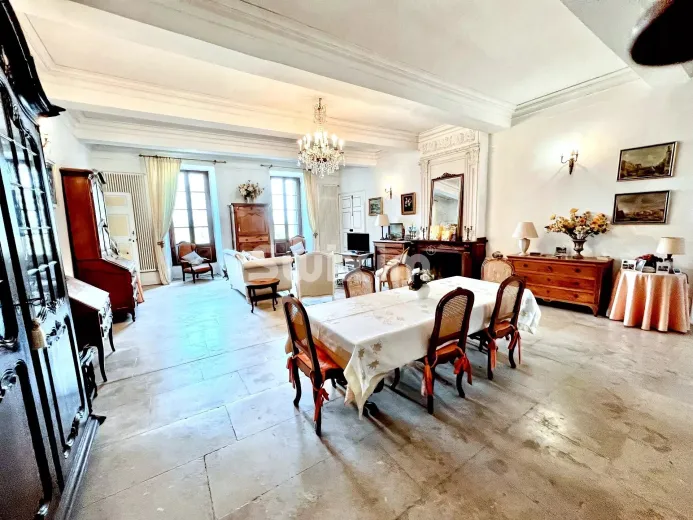 Maison à vendre à Saint-Jean-de-Védas - Saint Jean de Vedas :Propriété idéale Maison d'hôtes - Smart Propylaia (24)