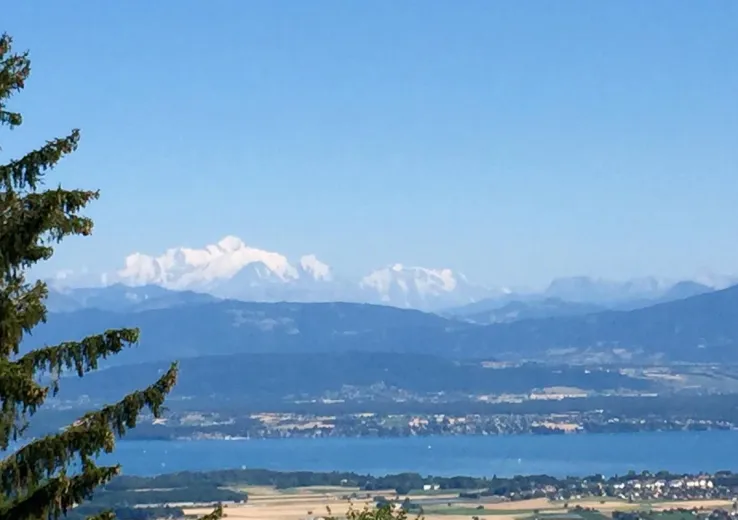 A vendre Maison individuelle Arzier-Le Muids Suisse - cChic-immoHub votre portail immobilier