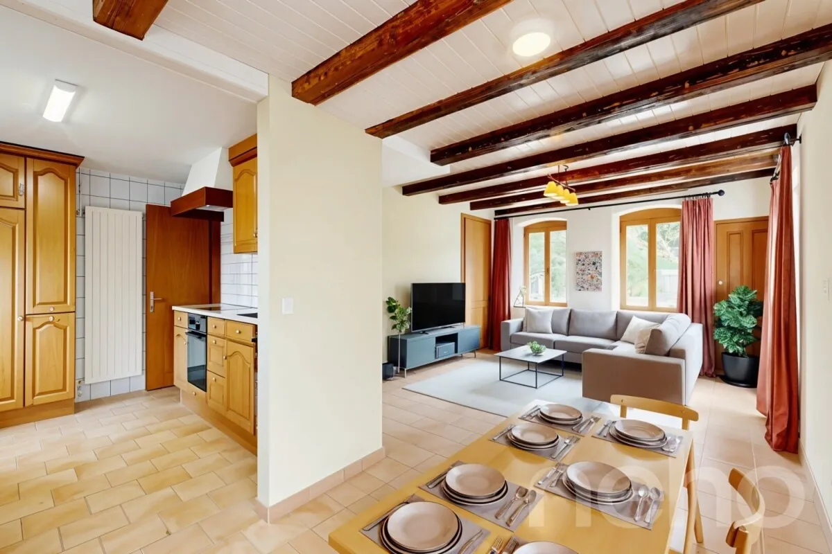 Châtillon FR for sale Single house Switzerland - cChic-immoHub your real estate portal