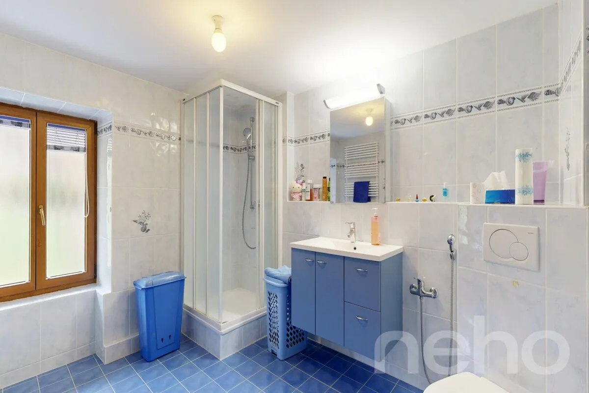 Châtillon FR for sale Single house Switzerland - cChic-immoHub your real estate portal