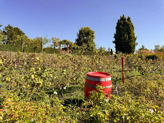 For sale Multiple dwelling Zürich Switzerland - cChic-immoHub your real estate portal