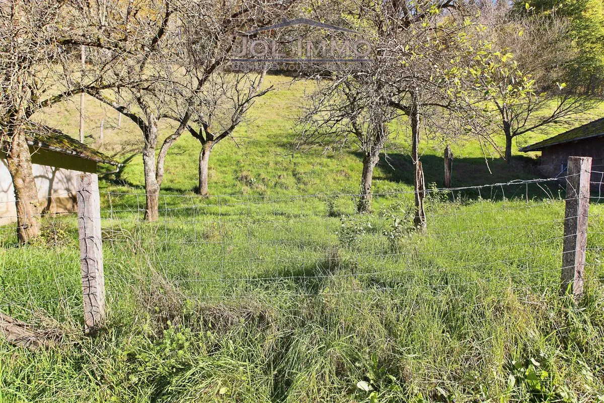 Asuel à vendre Maison individuelle Suisse - cChic-immoHub votre portail immobilier