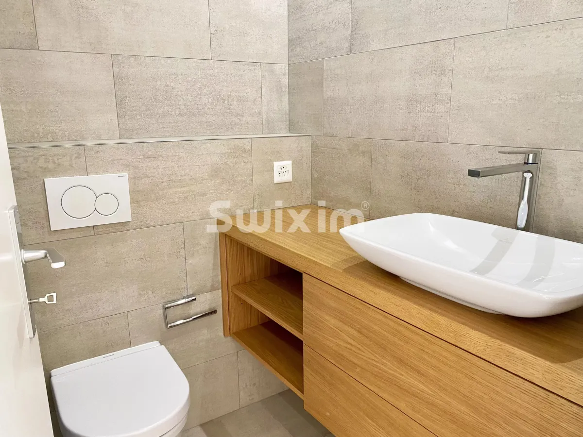 Troinex zu verkaufen Wohnung Schweiz - cChic-immoHub Ihr Immobilienportal