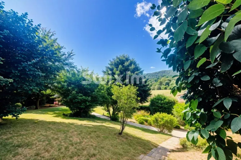 Maison à vendre à Santenay - Smart Propylaia (11)