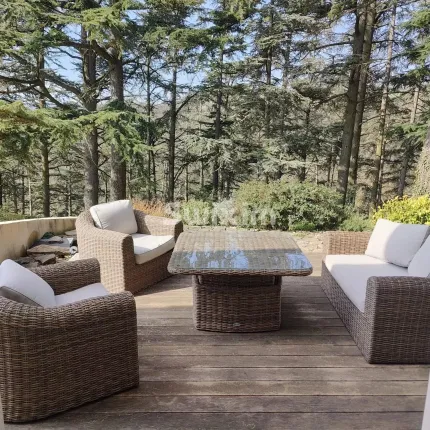 Maison à vendre à Seyssuel (17)