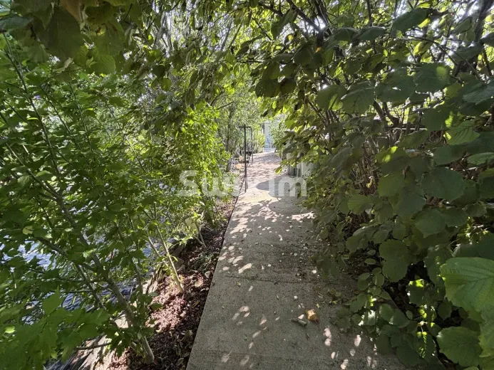 Maison à vendre à Précy-le-Sec - Smart Propylaia (14)