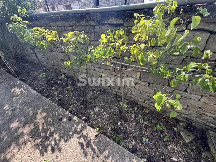 Maison à vendre à Précy-le-Sec - Smart Propylaia (17)