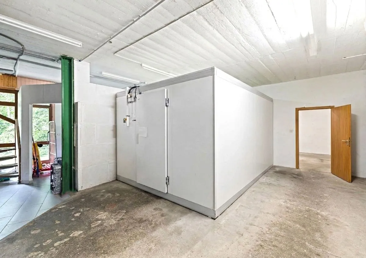 Torgon for sale Shop Switzerland - cChic-immoHub your real estate portal