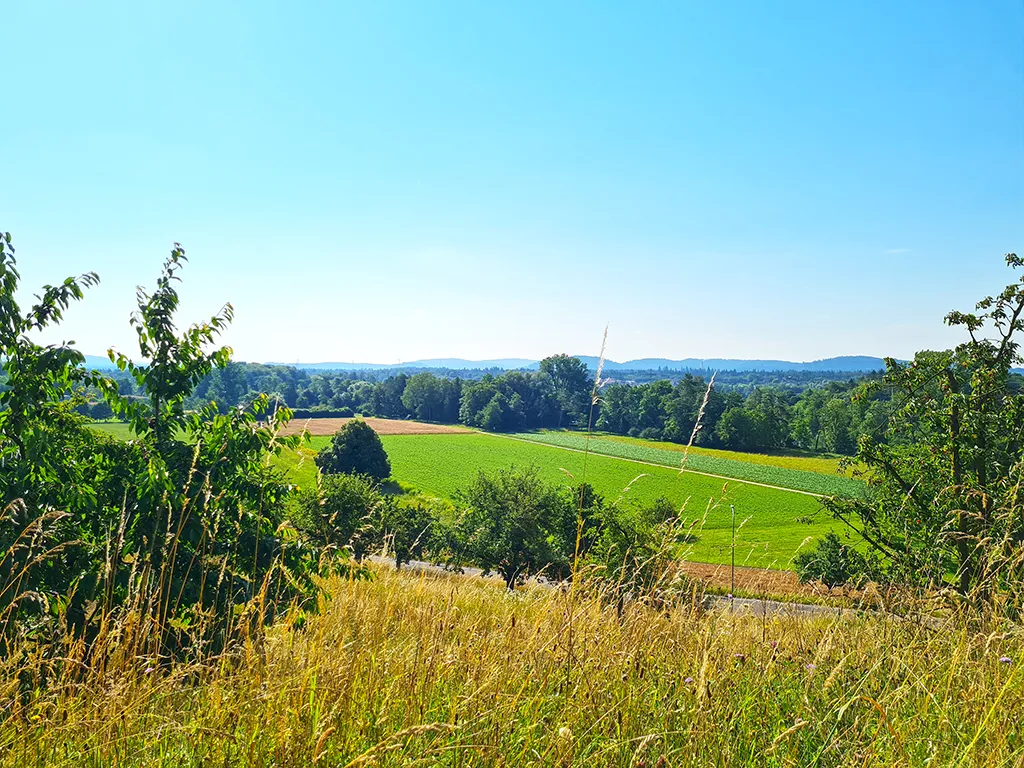Biberstein zu verkaufen Wohnung Schweiz - cChic-immoHub Ihr Immobilienportal