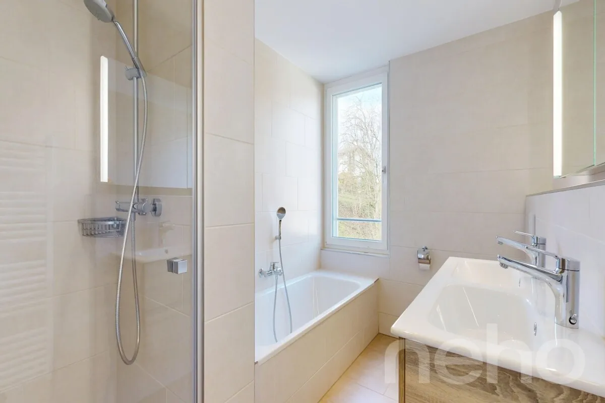 Möhlin zu verkaufen Dachwohnung Schweiz - cChic-immoHub Ihr Immobilienportal