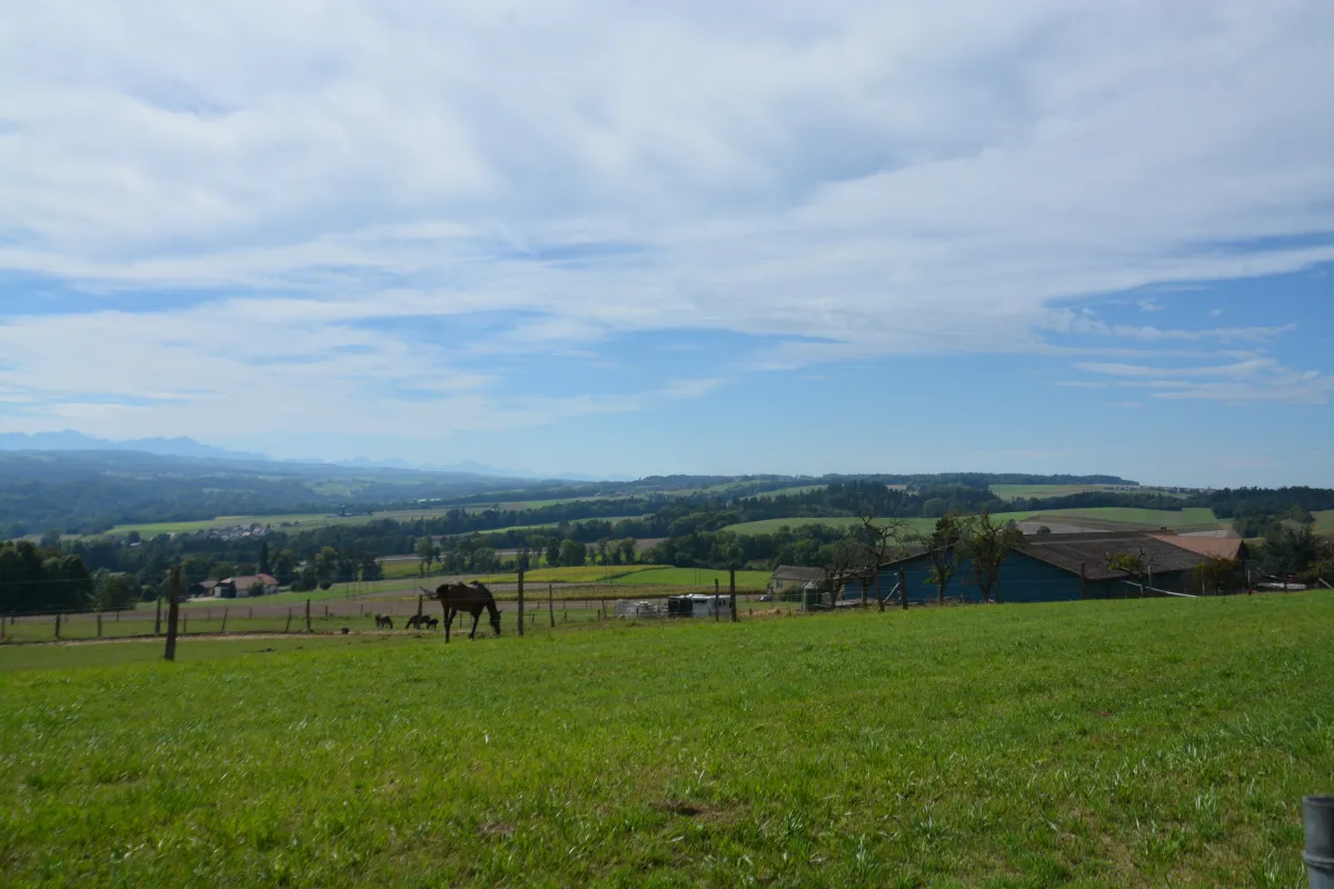 Yverdon-les-Bains zu verkaufen Zwillingshaus Schweiz - cChic-immoHub Ihr Immobilienportal