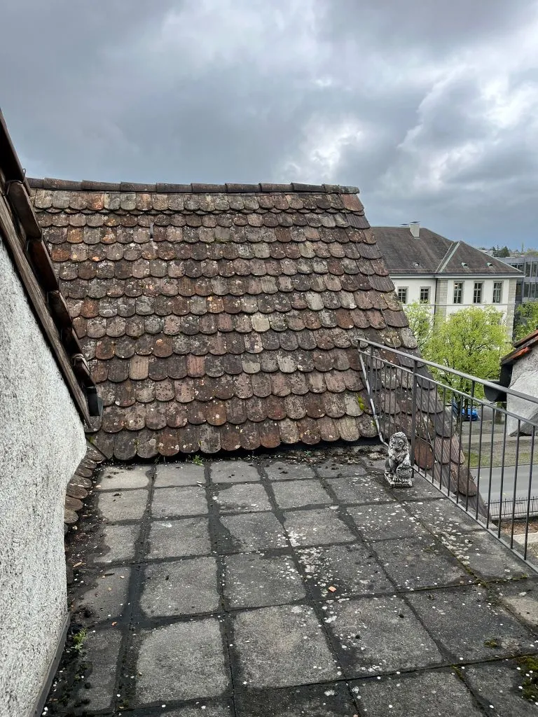 To rent   Switzerland - cChic-immoHub your real estate portal